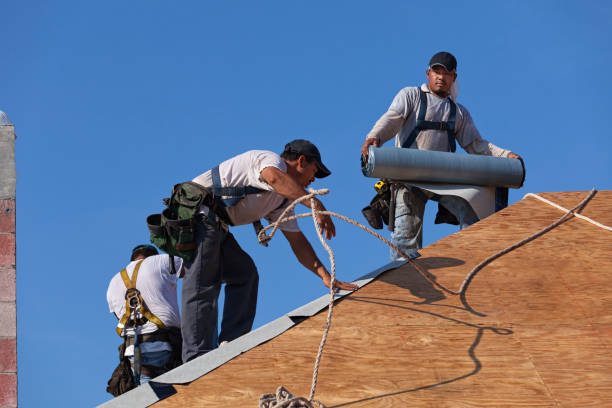 Best Commercial Roofing Services  in Mount Clemens, MI