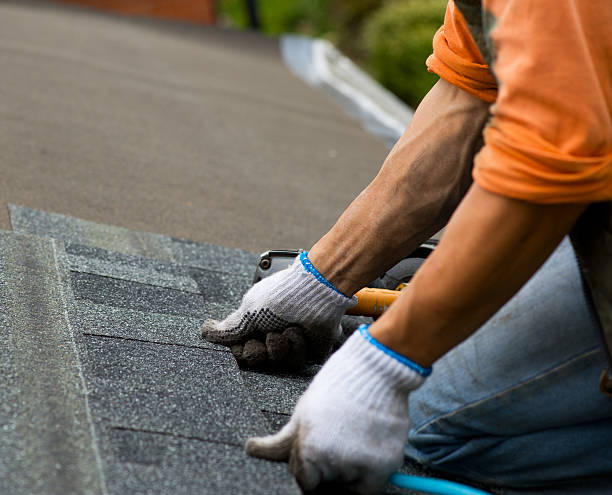Best Residential Roofing Contractor  in Mount Clemens, MI