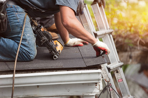 Best Residential Roofing Contractor  in Mount Clemens, MI
