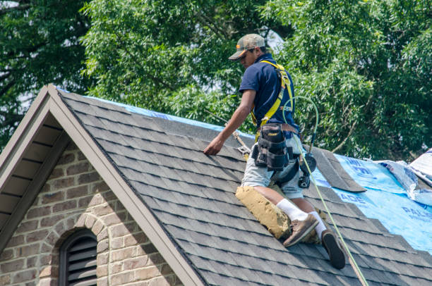 Best Shingle Roofing Installation  in Mount Clemens, MI