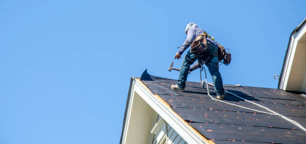 Roof Gutter Cleaning in Mount Clemens, MI